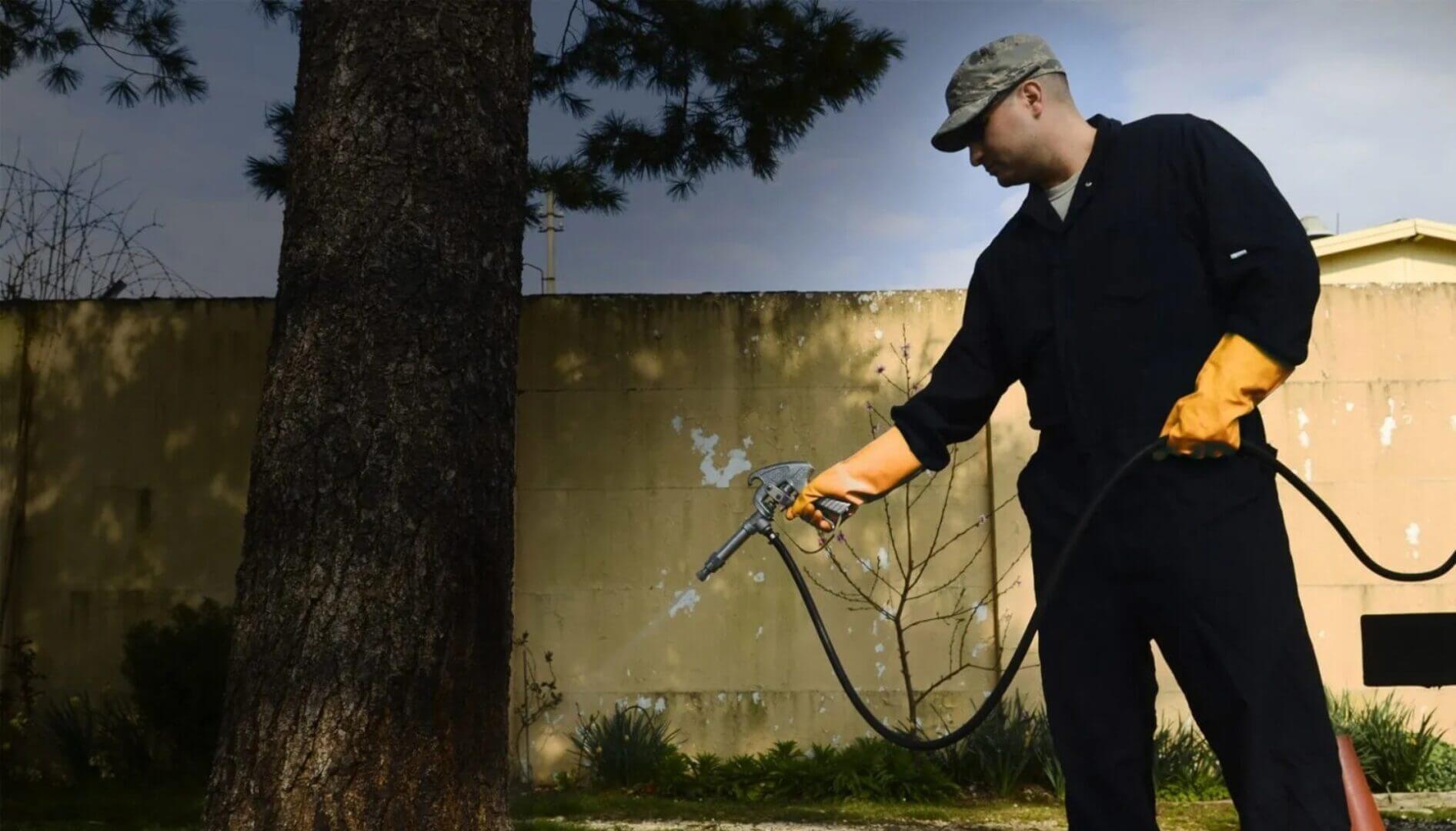 A man spraying a tree with a hose.