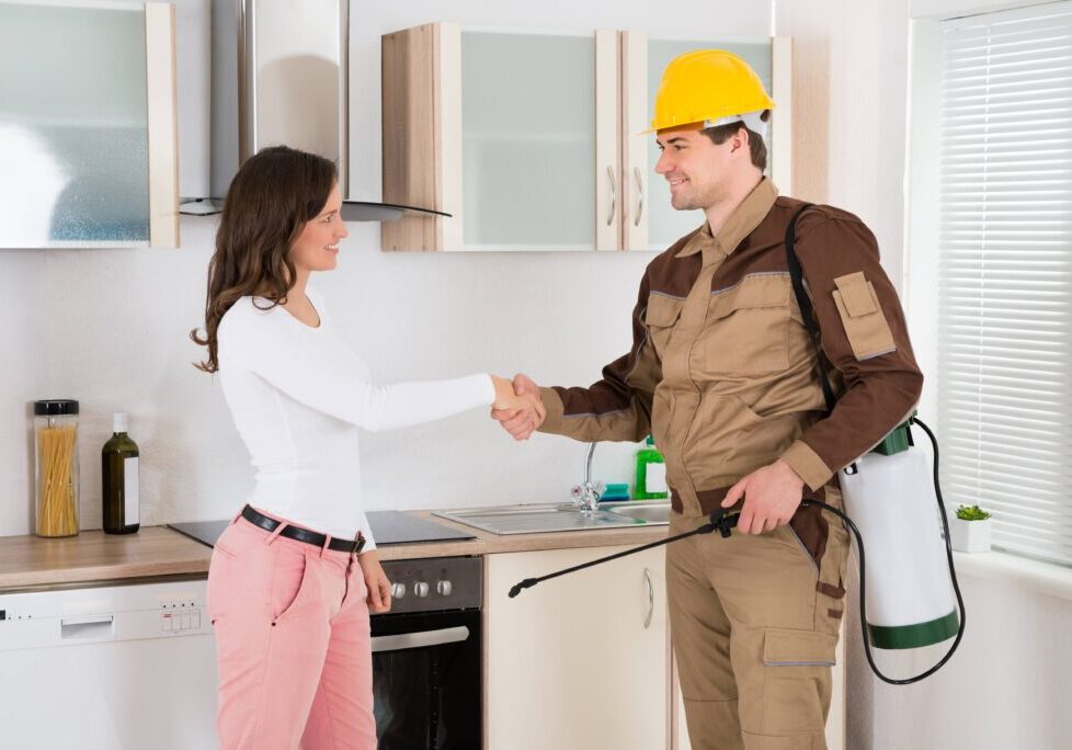 Happy Woman And Young Pest Control Worker Shaking Hands To Each Other In Kitchen Room