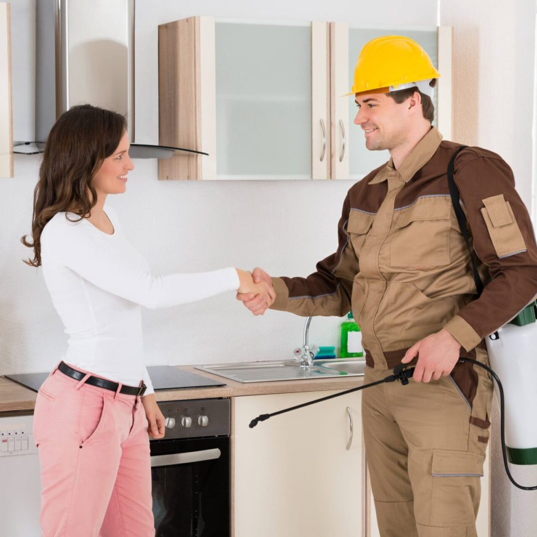 Happy Woman And Young Pest Control Worker Shaking Hands To Each Other In Kitchen Room