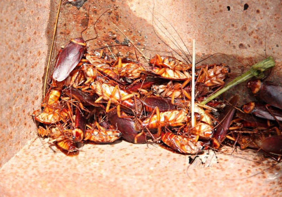 dff42fd9-9cb2-4b18-867d-636fc03a4ec5